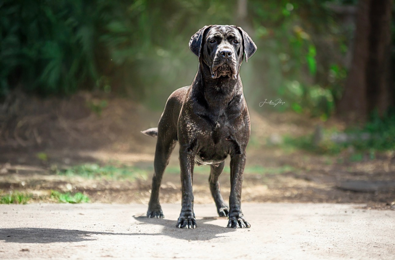 Uness  Des Gardiens De Ti Sable